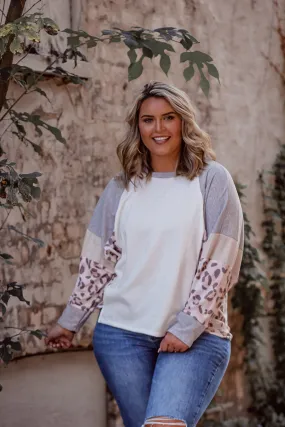 Curvy Ivory & Blush Leopard Colorblock Long sleeve Top